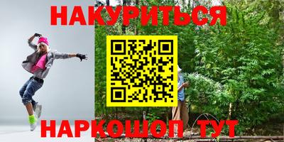 молекула духа Новозыбков